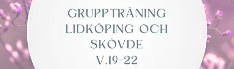 Gruppträning v.19-22