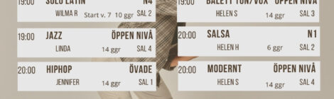 Vuxenkurser Skövde VT 2026