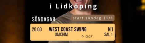 West Coast Swing startar 11/1