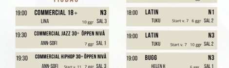 Vuxenkurser Lidköping VT 2026